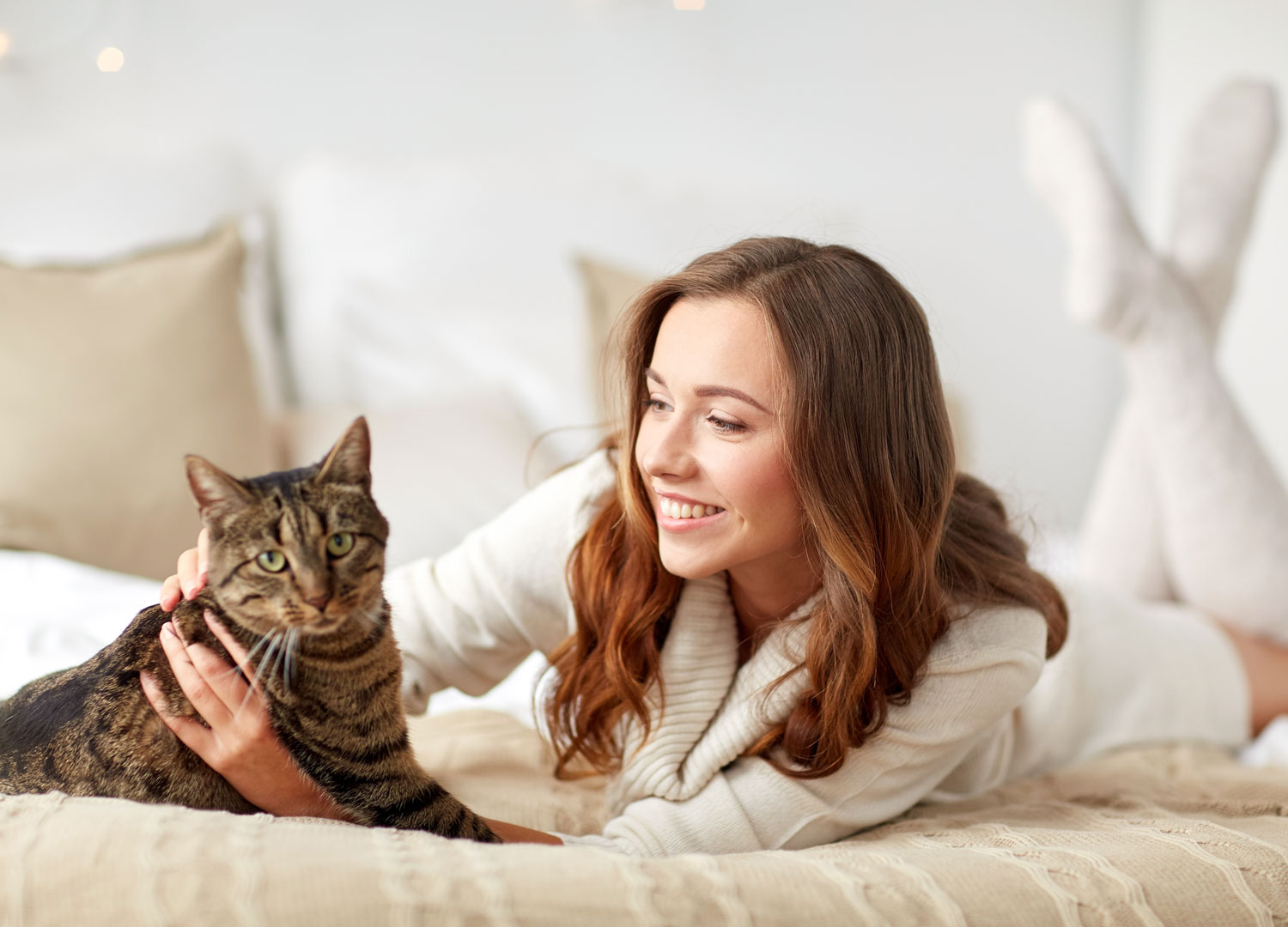 Pets-and-Pet-Care